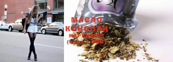 стаф Каменка