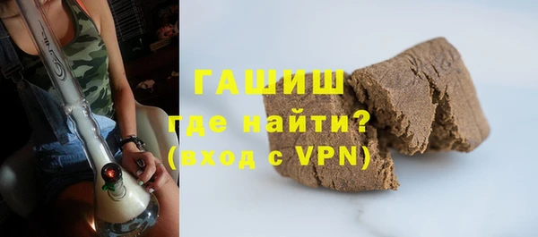 стаф Каменка
