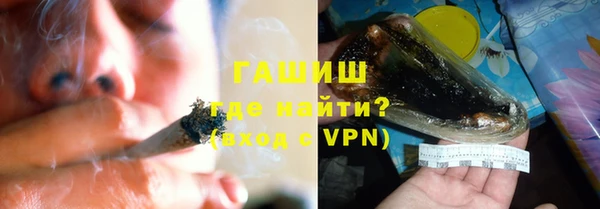 стаф Каменка