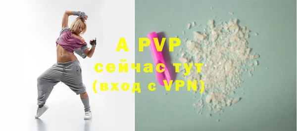 стаф Каменка