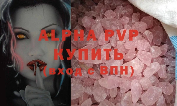стаф Каменка