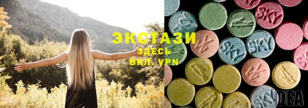 стаф Каменка
