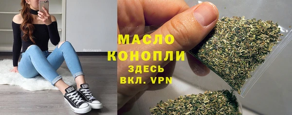 стаф Каменка