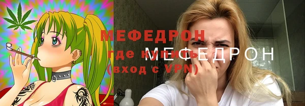 стаф Каменка